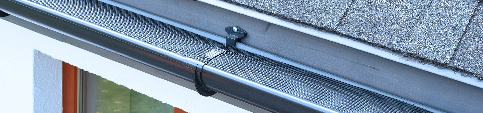 Gutter Cleaning