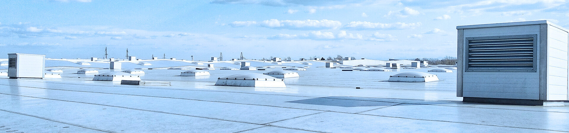 Roof Cleaning